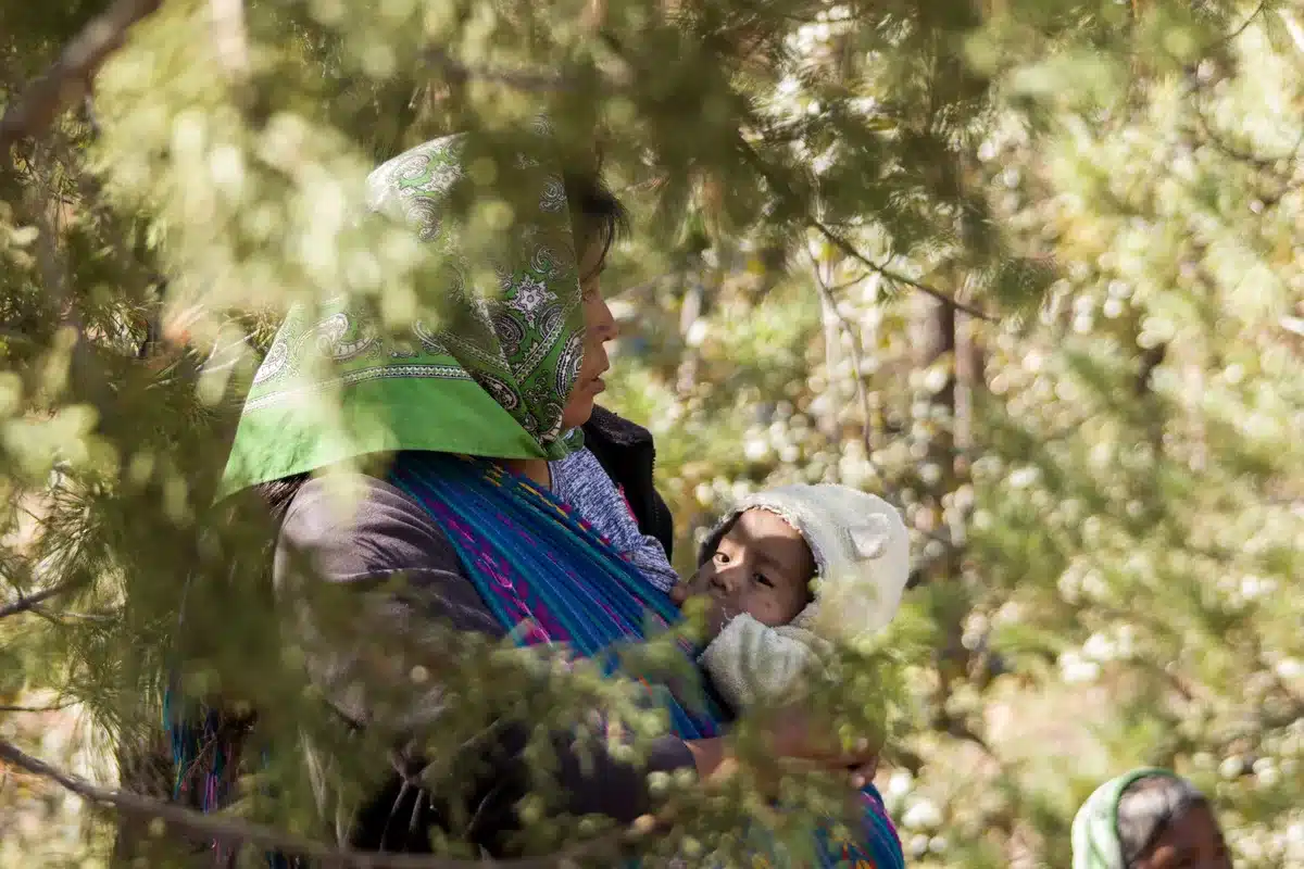 Indigenous community members in their forest territory