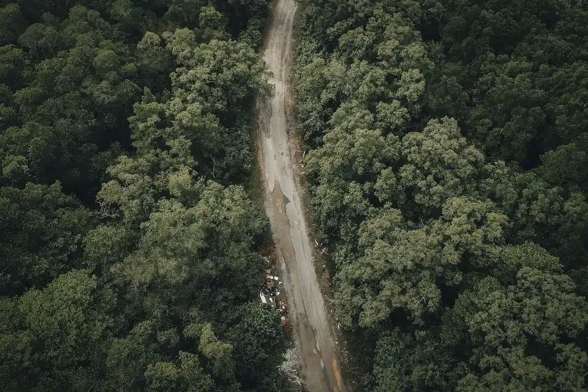 Activists camping on a forest road to block logging operations in British Columbia