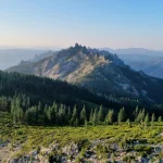 Sprawling California mountain landscape with dense forest and rocky terrain, symbolizing the state's wild ecosystems.