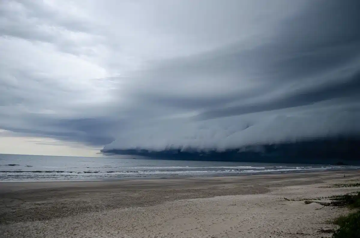 Palmen biegen sich im starken Wind, während Regenschauer und Wellen die Küste treffen