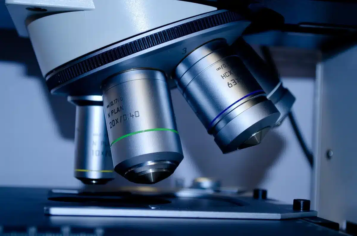 Scientist examining bear hair samples under microscope for DNA analysis
